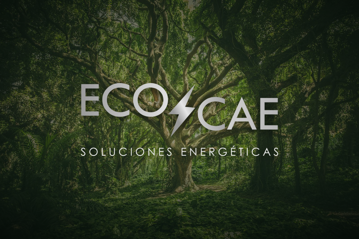 ECO CAE Espana